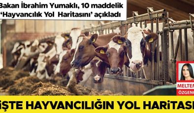 İşte hayvancılığın yol haritası