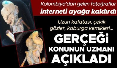 Kolombiya’dan gelen fotoğraflar interneti ayağa kaldırdı! Uzun kafatası, çekik gözler, kaburga kemikleri… Gerçeği konunun uzmanı açıkladı