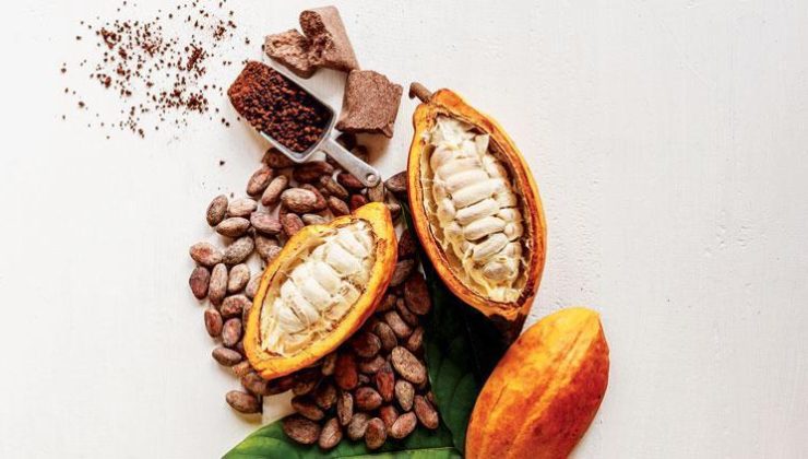 Hızla artan fiyatlar tarihi seviyede: Dünya ‘kakao’ krizinin eşiğinde