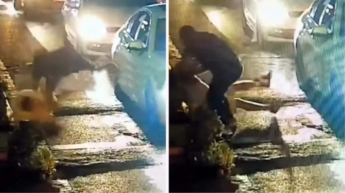 Yargıtay Cumhuriyet Savcısı Necip Cem İşçimen’e maç çıkışı yumruklu saldırı